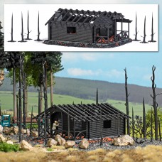 1853 - Burned -Down Forest Hut