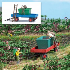 7879 - Grape Harvest