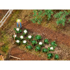 181257 - 10 green and 10 cauliflowers