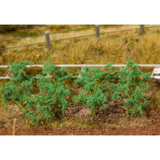 181259 - Tomato Plants 18 Pieces