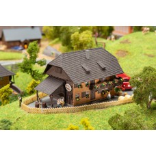 231717 - Holiday home Black Forest