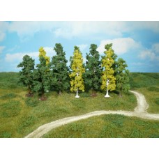 01410 - 12 deciduous trees - 7 12 cm