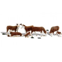 A1843 - Hereford Cows